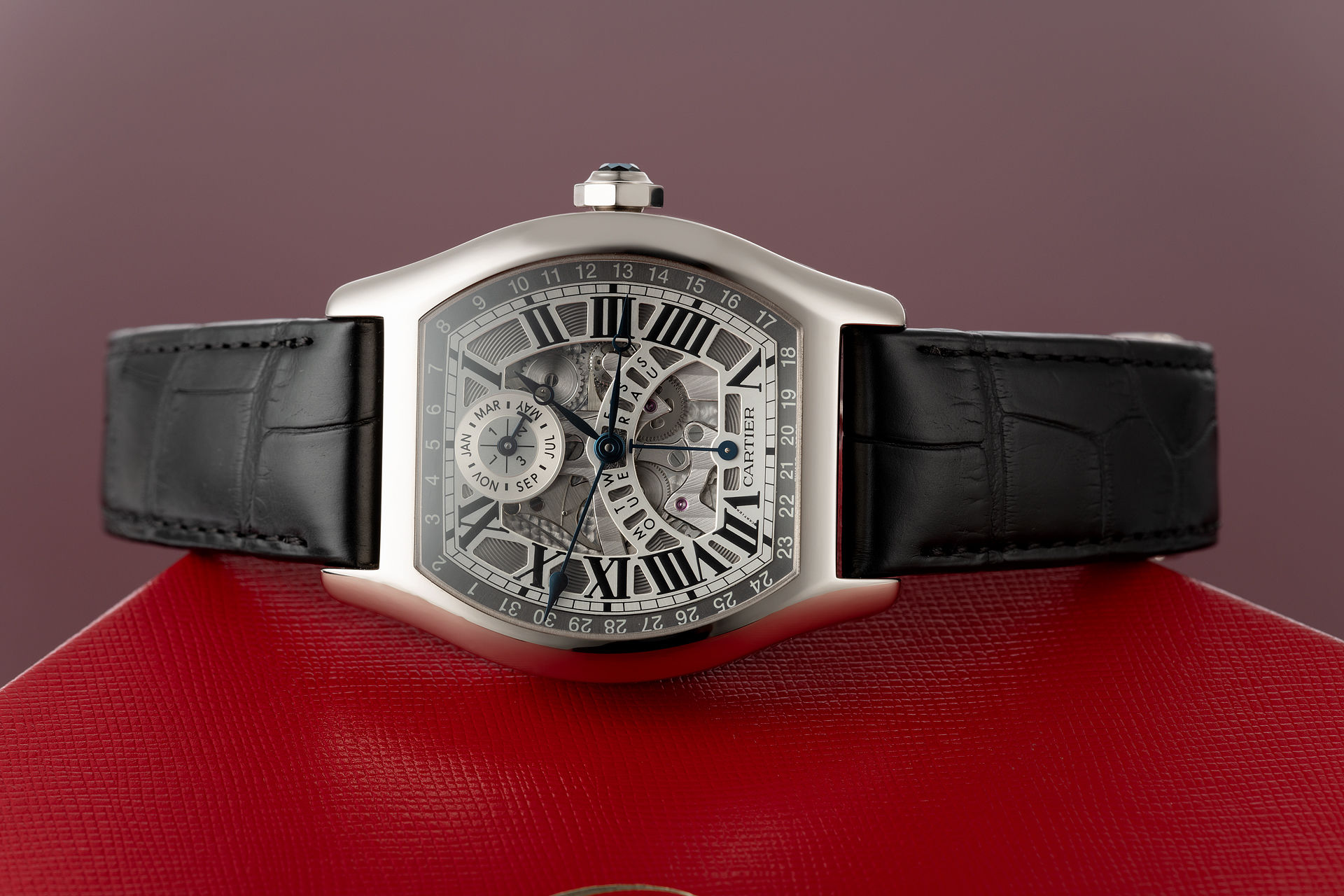 ref W1580048 | White Gold 'Skeleton'  | Cartier Tortue Perpetual