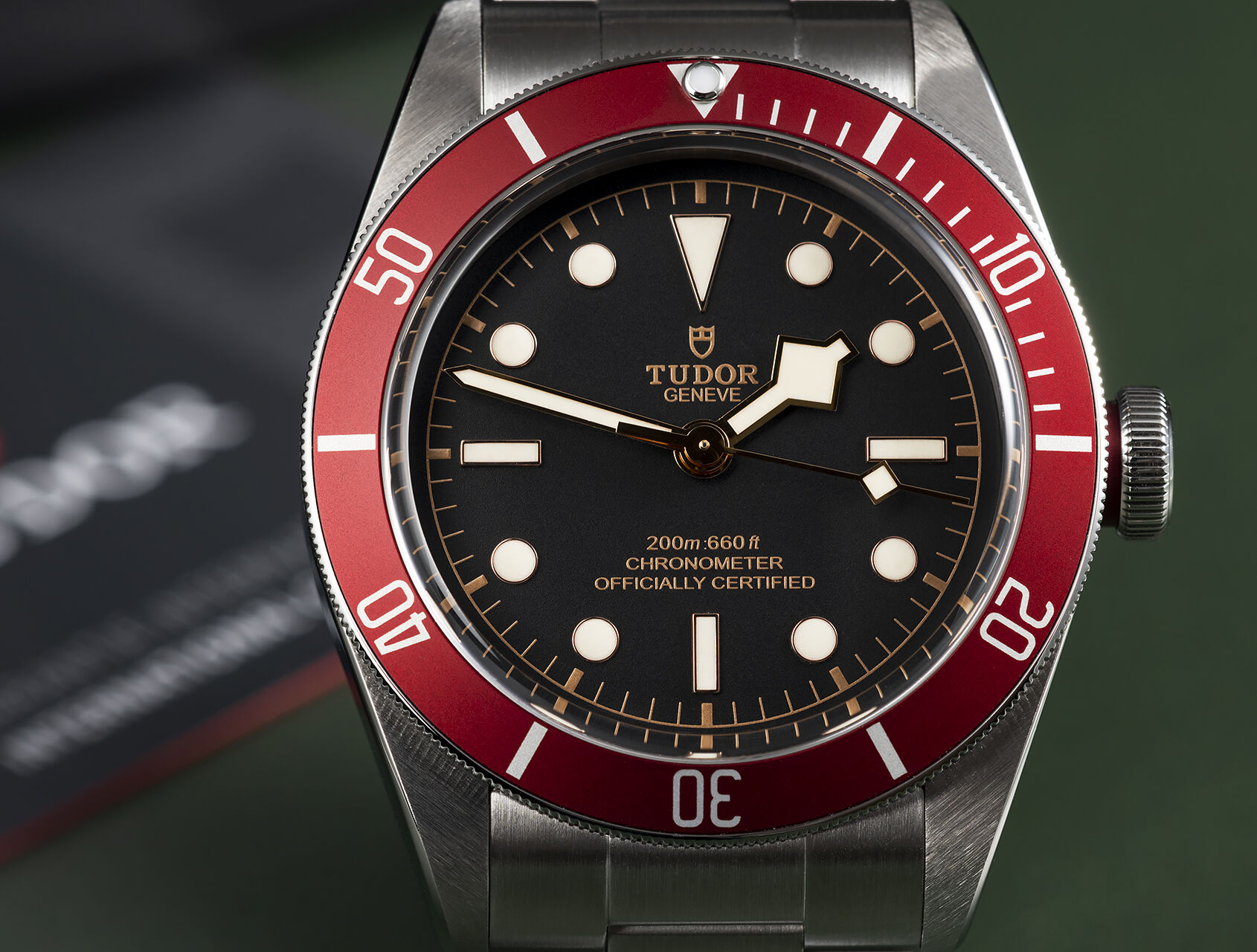 ref 79230R-0012 | 79230R-0012 - Under Service Warranty | Tudor Black Bay