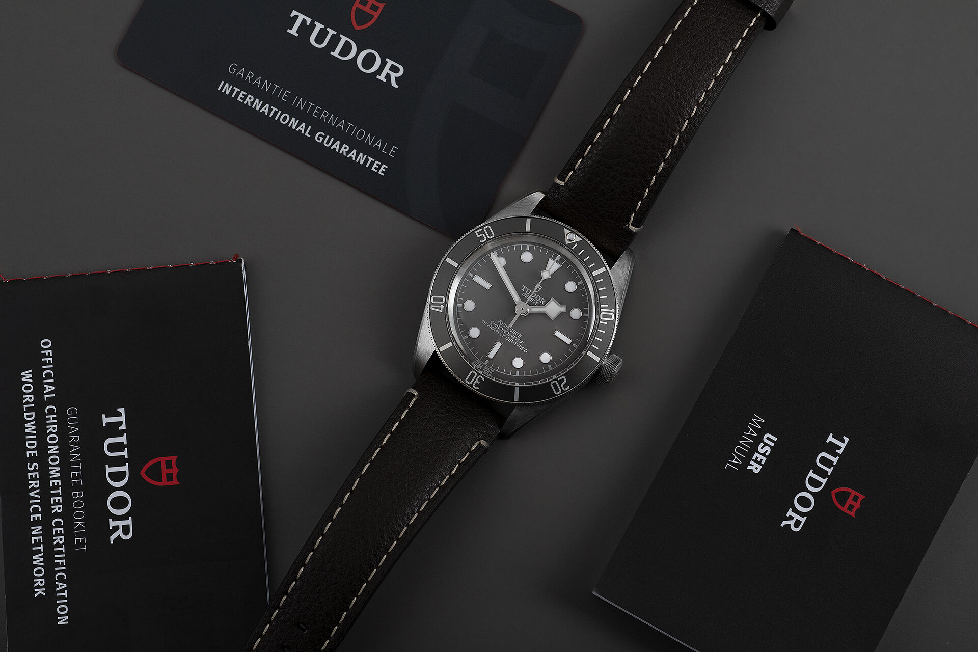 ref 79010SG | Brand New 5 Year Warranty | Tudor Black Bay