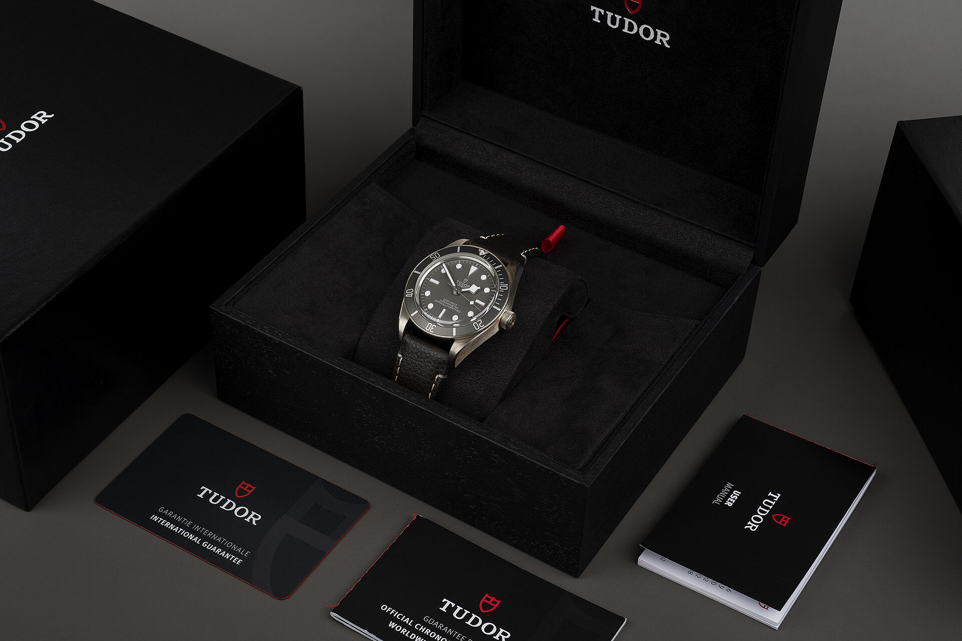 ref 79010SG | Brand New 5 Year Warranty | Tudor Black Bay