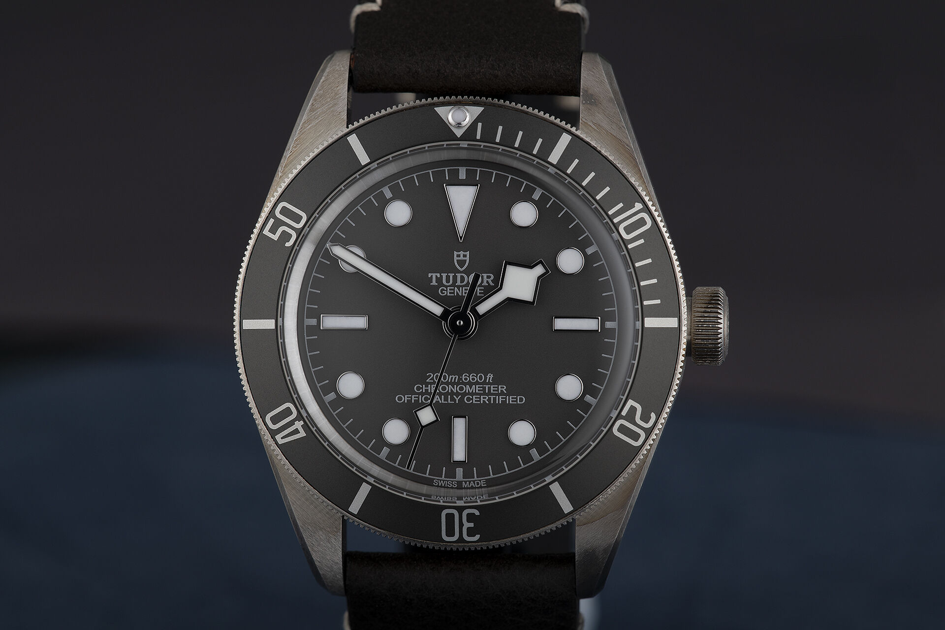 ref 79010SG | Brand New 5 Year Warranty | Tudor Black Bay