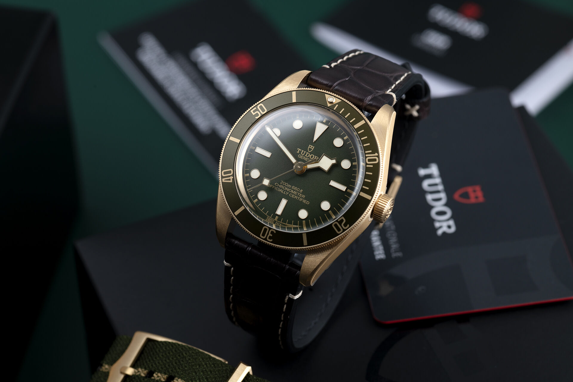 ref 79018V | Brand New | Tudor Black Bay