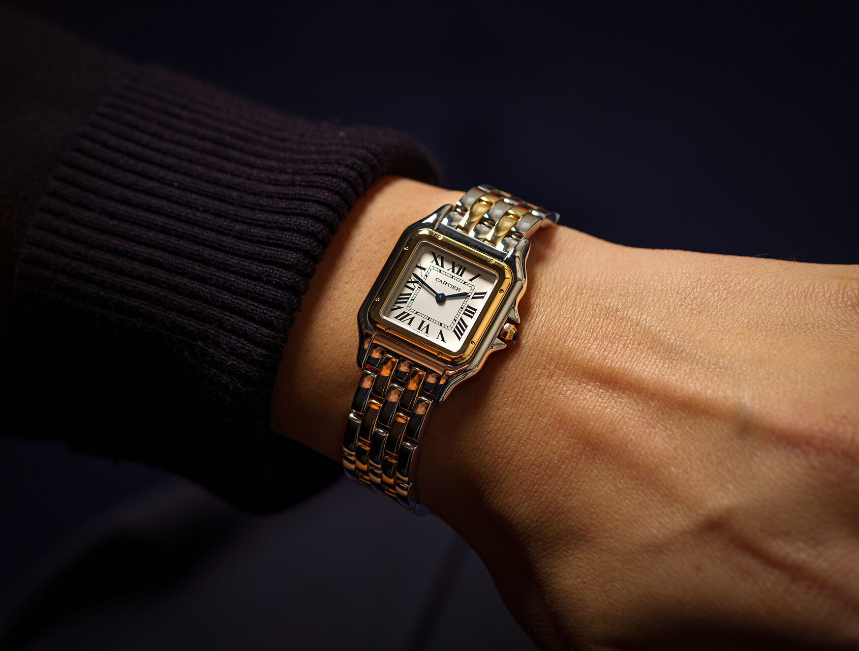 ref W2PN0019 | 4017 - Latest Model | Cartier Panthere