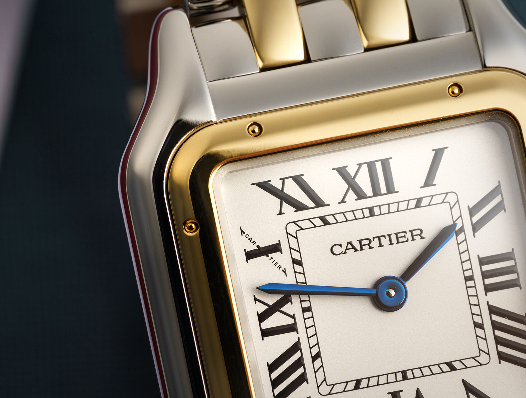ref W2PN0019 | 4017 - Latest Model | Cartier Panthere