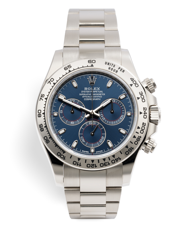 rolex white gold daytona blue dial